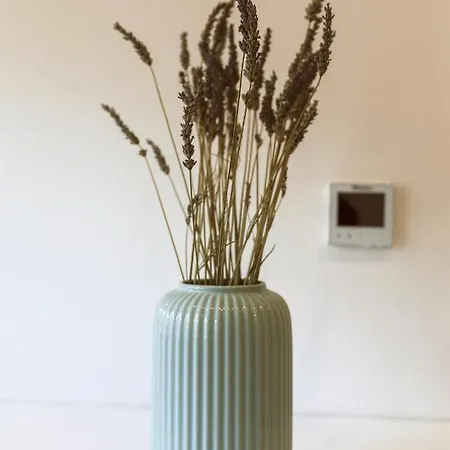 Entire House In The Center Of - Free Parking - Dragon Garden Pavilion Ljubljana