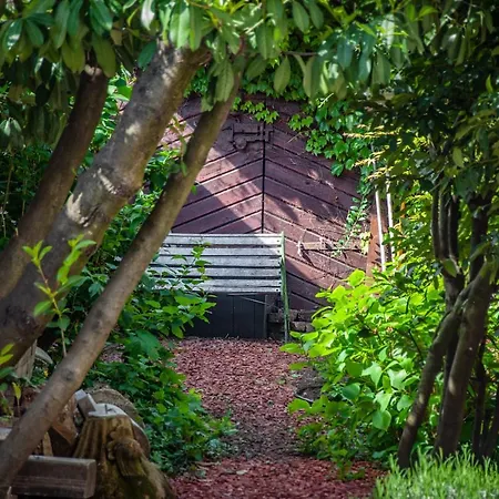 Entire House In The Center Of - Free Parking - Dragon Garden Pavilion Homestay *
